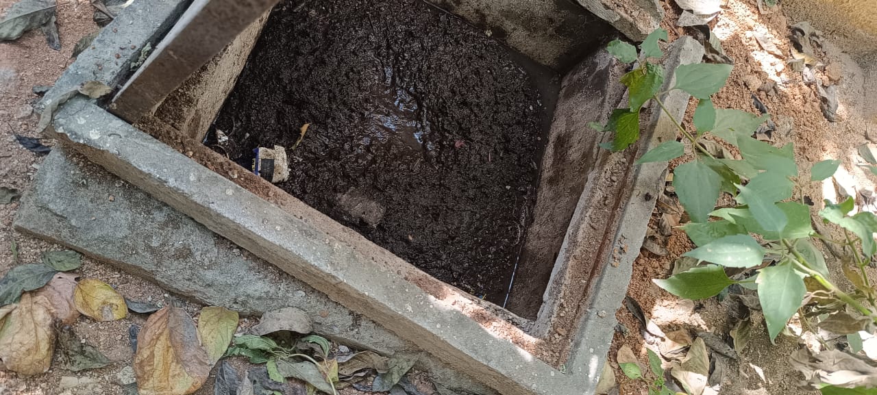 WhatsApp Image 2026-01-09 at 8.16.45 PM