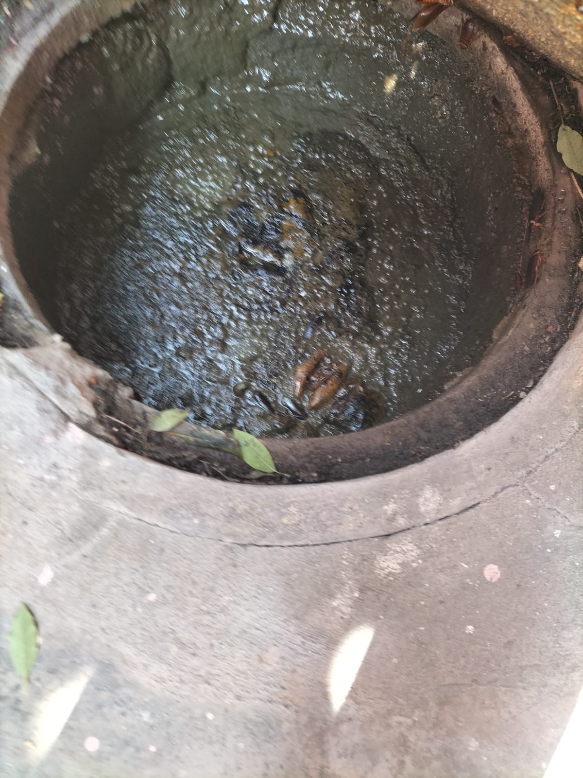 WhatsApp Image 2026-01-09 at 8.16.46 PM